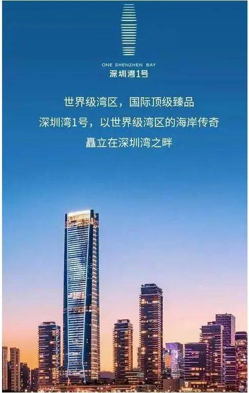 2024网站 深圳湾1号首页网站-房天下ag九游会登录南山「深圳湾1号」招租(图2)
